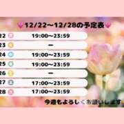 ヒメ日記 2025/12/23 22:03 投稿 大原　ふみか プルプル札幌性感エステ はんなり