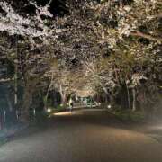 ヒメ日記 2025/05/08 12:12 投稿 豊浜　さおり プルプル札幌性感エステ はんなり