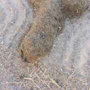 ヒメ日記 2025/05/30 23:34 投稿 かすみ Hip's千葉駅前店