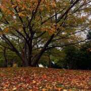 ヒメ日記 2025/11/13 14:15 投稿 かすみ Hip's千葉駅前店