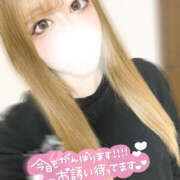 ヒメ日記 2025/05/12 15:25 投稿 最上　りの つくば風俗エキスプレス   ヌキ坂46