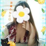 ヒメ日記 2025/07/07 19:31 投稿 (コスパ)百瀬りんこ 風俗イキタイいわき店