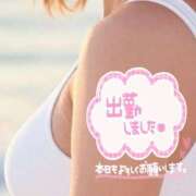 ヒメ日記 2025/06/07 17:27 投稿 カナ セクシーキャット 小田原店