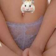 ヒメ日記 2025/09/25 18:00 投稿 カナ セクシーキャット 小田原店