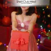 ヒメ日記 2025/12/01 09:31 投稿 結城　いのり シェルクラブ・ウエスト