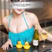 ヒメ日記 2026/01/26 19:50 投稿 結城　いのり シェルクラブ・ウエスト