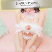 ヒメ日記 2026/04/18 08:52 投稿 結城　いのり シェルクラブ・ウエスト