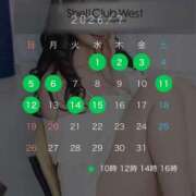 ヒメ日記 2026/06/26 08:39 投稿 結城　いのり シェルクラブ・ウエスト