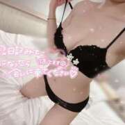 ヒメ日記 2025/12/03 12:16 投稿 る　る パラダイス(天王町)