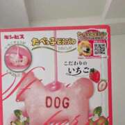 ヒメ日記 2025/03/24 15:44 投稿 るん E+アイドルスクール新宿・歌舞伎町店