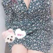 ヒメ日記 2025/03/30 16:41 投稿 びび 熟女の風俗最終章 町田店