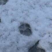 ヒメ日記 2025/04/21 23:16 投稿 吉永 マヒル クラブブレンダ石垣島店