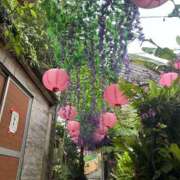 ヒメ日記 2025/04/29 17:01 投稿 吉永 マヒル クラブブレンダ石垣島店