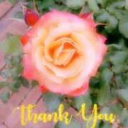 ヒメ日記 2025/08/25 22:30 投稿 ちはる One More奥様　横浜関内店