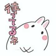 ヒメ日記 2026/06/13 13:12 投稿 えみ ルーフ福井