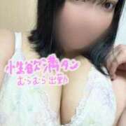 ヒメ日記 2025/06/01 12:29 投稿 東堂 BBW（ビッグビューティフルウーマン）