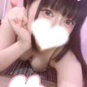 ヒメ日記 2025/04/19 19:28 投稿 あまね 静岡駅前ちゃんこ