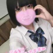 ヒメ日記 2025/03/22 12:43 投稿 なこ お姉ちゃんゴメンね