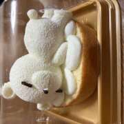 ヒメ日記 2025/05/30 11:03 投稿 はるか しゅうかつ倶楽部