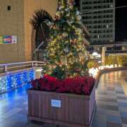 ヒメ日記 2025/11/16 10:27 投稿 はるか しゅうかつ倶楽部