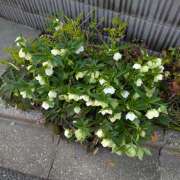 ヒメ日記 2026/04/14 10:14 投稿 はるか しゅうかつ倶楽部