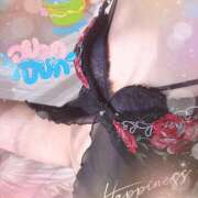 はるか はるかです しゅうかつ倶楽部