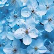 ヒメ日記 2025/05/15 13:45 投稿 まどか モアグループ熊谷人妻花壇