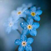 ヒメ日記 2025/05/19 15:12 投稿 まどか モアグループ熊谷人妻花壇