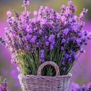 ヒメ日記 2025/05/19 15:15 投稿 まどか モアグループ熊谷人妻花壇