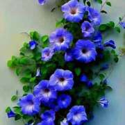 ヒメ日記 2025/05/19 19:34 投稿 まどか モアグループ熊谷人妻花壇