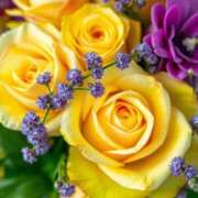 ヒメ日記 2025/05/25 13:56 投稿 まどか モアグループ熊谷人妻花壇