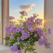 ヒメ日記 2025/05/25 14:20 投稿 まどか モアグループ熊谷人妻花壇