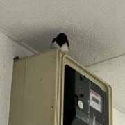 ヒメ日記 2025/05/25 21:03 投稿 まどか モアグループ熊谷人妻花壇