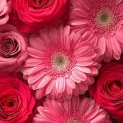 ヒメ日記 2025/06/16 19:32 投稿 まどか モアグループ熊谷人妻花壇