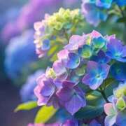 ヒメ日記 2025/06/16 23:09 投稿 まどか モアグループ熊谷人妻花壇