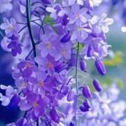 ヒメ日記 2025/06/17 01:02 投稿 まどか モアグループ熊谷人妻花壇