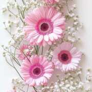 ヒメ日記 2025/06/17 10:47 投稿 まどか モアグループ熊谷人妻花壇