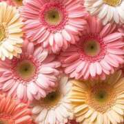 ヒメ日記 2025/07/04 21:01 投稿 まどか モアグループ熊谷人妻花壇