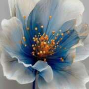 ヒメ日記 2025/07/12 15:20 投稿 まどか モアグループ熊谷人妻花壇