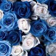 ヒメ日記 2025/07/16 15:10 投稿 まどか モアグループ熊谷人妻花壇