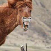 ヒメ日記 2025/08/11 17:11 投稿 まどか モアグループ熊谷人妻花壇