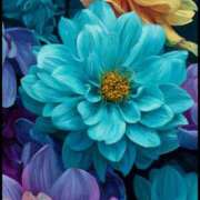 ヒメ日記 2025/08/11 17:53 投稿 まどか モアグループ熊谷人妻花壇