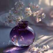 ヒメ日記 2025/08/12 12:59 投稿 まどか モアグループ熊谷人妻花壇