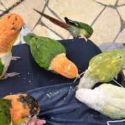 ヒメ日記 2025/09/02 18:40 投稿 まどか モアグループ熊谷人妻花壇