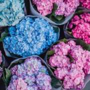 ヒメ日記 2025/09/06 16:11 投稿 まどか モアグループ熊谷人妻花壇