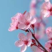 ヒメ日記 2025/09/06 16:18 投稿 まどか モアグループ熊谷人妻花壇