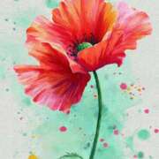 ヒメ日記 2025/09/06 21:09 投稿 まどか モアグループ熊谷人妻花壇