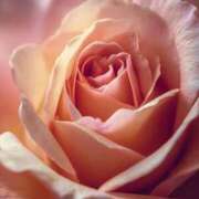 ヒメ日記 2025/09/06 22:28 投稿 まどか モアグループ熊谷人妻花壇