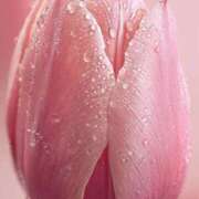 ヒメ日記 2025/09/07 16:57 投稿 まどか モアグループ熊谷人妻花壇