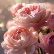 ヒメ日記 2025/09/14 20:53 投稿 まどか モアグループ熊谷人妻花壇